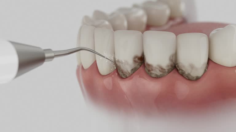 Reliable Dental contractor in Yorkshire, VA by Dentist Open Now